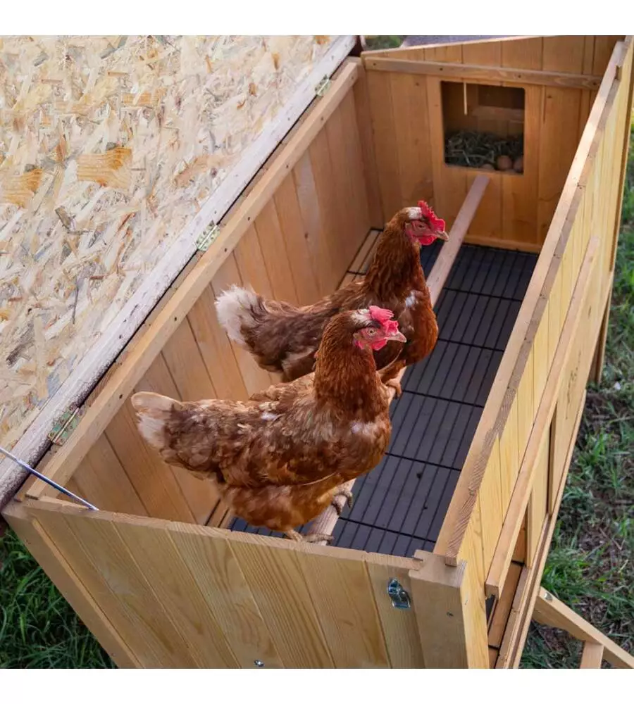 CASETTA POLLAIO PER GALLINE IN LEGNO "HEN HOUSE 30", 162X100X110 CM - FERPLAST